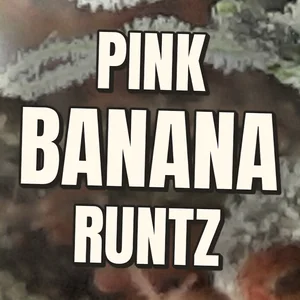 Pink Banana Runtz Cannabis Strain