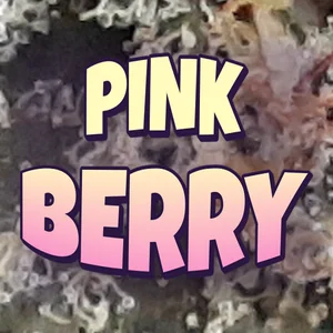 Pink Berry Cannabis Strain