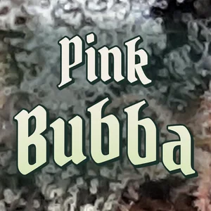 Pink Bubba Cannabis Strain