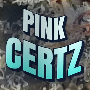 Pink Certz Cannabis Strain