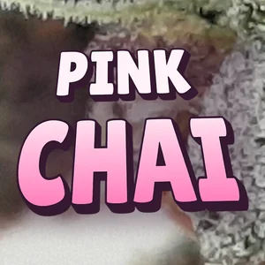 Pink Chai Cannabis Strain