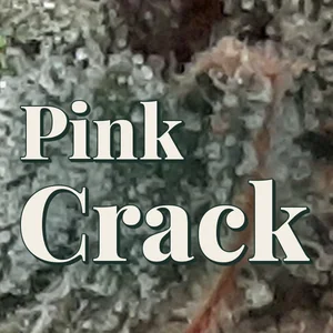 Pink Crack Cannabis Strain