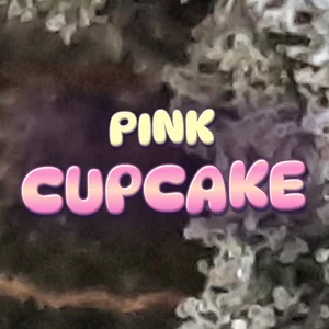 Pink Cupcake Cannabis Strain