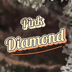 Pink Diamond Cannabis Strain