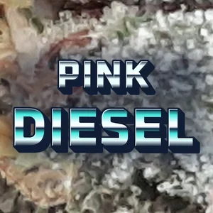 Pink Diesel Cannabis Strain