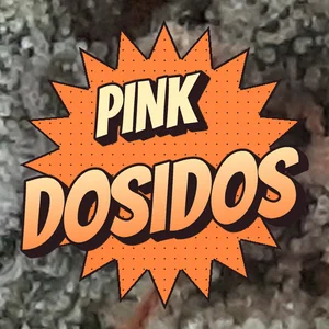 Pink Dosidos Cannabis Strain