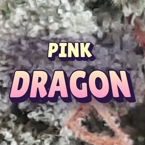 Pink Dragon Cannabis Strain
