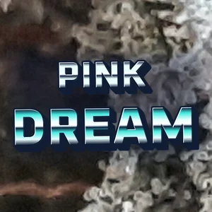 Pink Dream Cannabis Strain