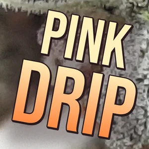 Pink Drip Cannabis Strain