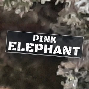 Pink Elephant Cannabis Strain
