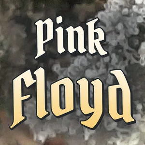 Pink Floyd Cannabis Strain