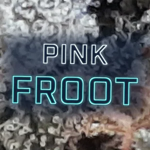 Pink Froot Cannabis Strain