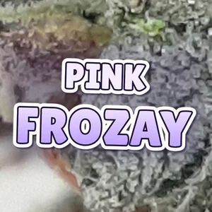 Pink Frozay Cannabis Strain