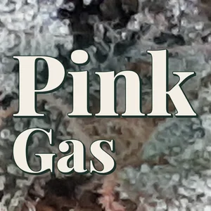 Pink Gas Cannabis Strain