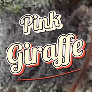 Pink Giraffe Cannabis Strain