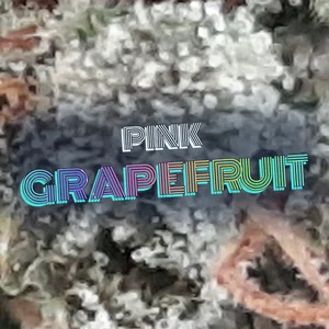 Pink Grapefruit Cannabis Strain