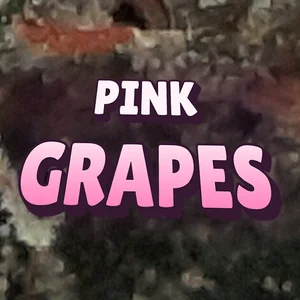 Pink Grapes Cannabis Strain