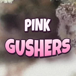 Pink Gushers Cannabis Strain