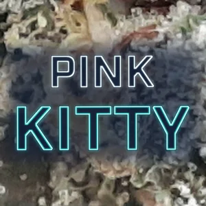 Pink Kitty Cannabis Strain