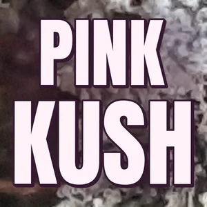 Pink Kush Cannabis Strain