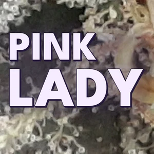Pink Lady Cannabis Strain
