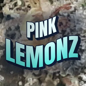 Pink Lemonz Cannabis Strain