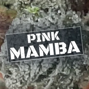 Pink Mamba Cannabis Strain