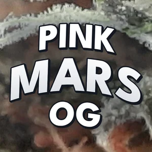 Pink Mars OG Cannabis Strain