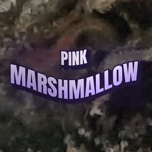 Pink Marshmallow Cannabis Strain