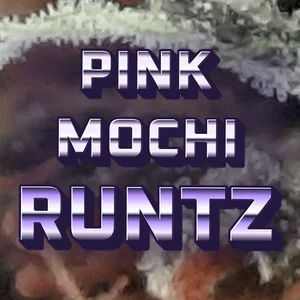 Pink Mochi Runtz Cannabis Strain