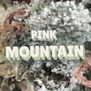 Pink Mountain Cannabis Strain