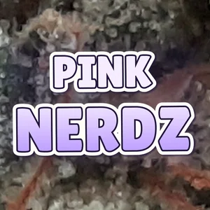 Pink Nerdz Cannabis Strain