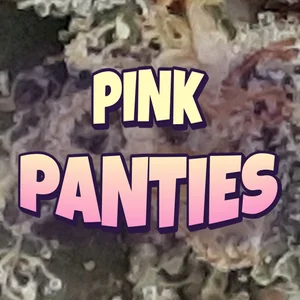 Pink Panties Cannabis Strain