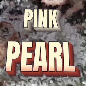 Pink Pearl Cannabis Strain