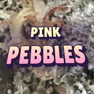 Pink Pebbles Cannabis Strain