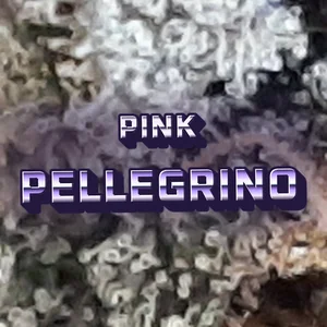 Pink Pellegrino Cannabis Strain
