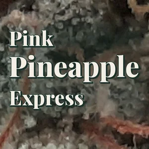 Pink Pineapple Express Cannabis Strain