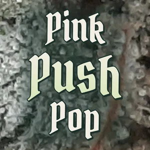 Pink Push Pop Cannabis Strain