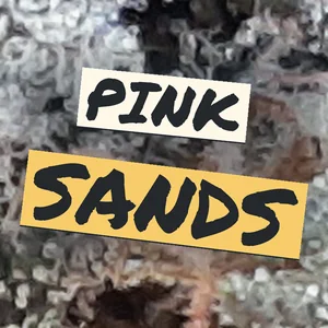 Pink Sands Cannabis Strain