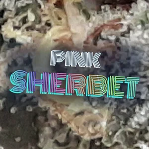 Pink Sherbet Cannabis Strain