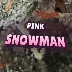 Pink Snowman Cannabis Strain