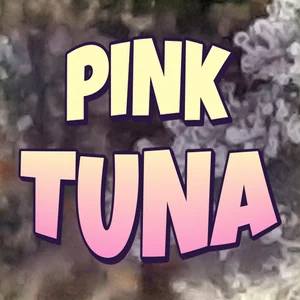 Pink Tuna Cannabis Strain