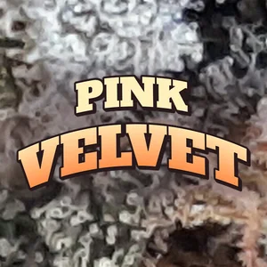Pink Velvet Cannabis Strain