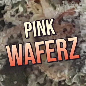 Pink Waferz Cannabis Strain