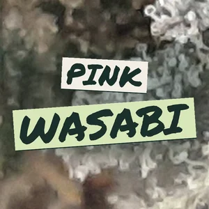 Pink Wasabi Cannabis Strain