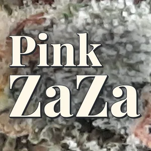 Pink ZaZa Cannabis Strain
