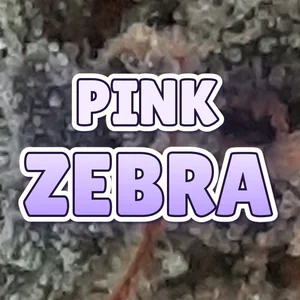 Pink Zebra Cannabis Strain