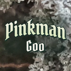 Pinkman Goo Cannabis Strain