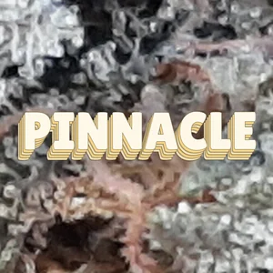 Pinnacle Cannabis Strain