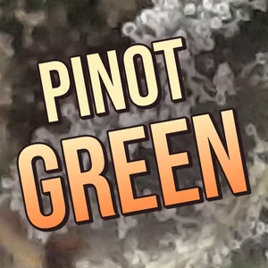Pinot Green Cannabis Strain